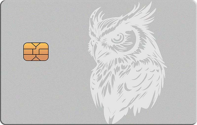 Owl 3